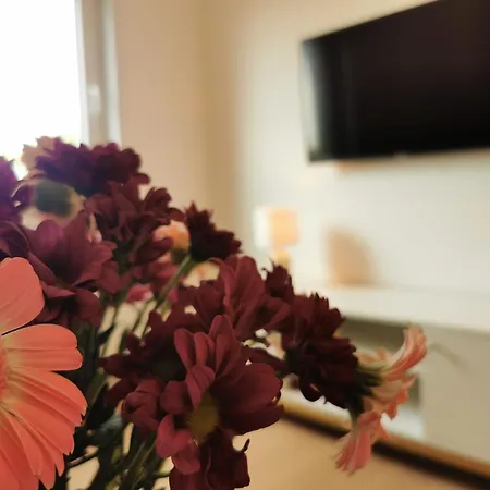 Haus Ahorn 7 Apartment Norderney